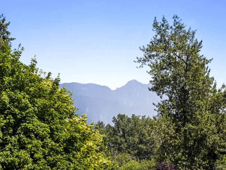 20619 123 Avenue, Maple Ridge, BC, V2X 4B1 - 3