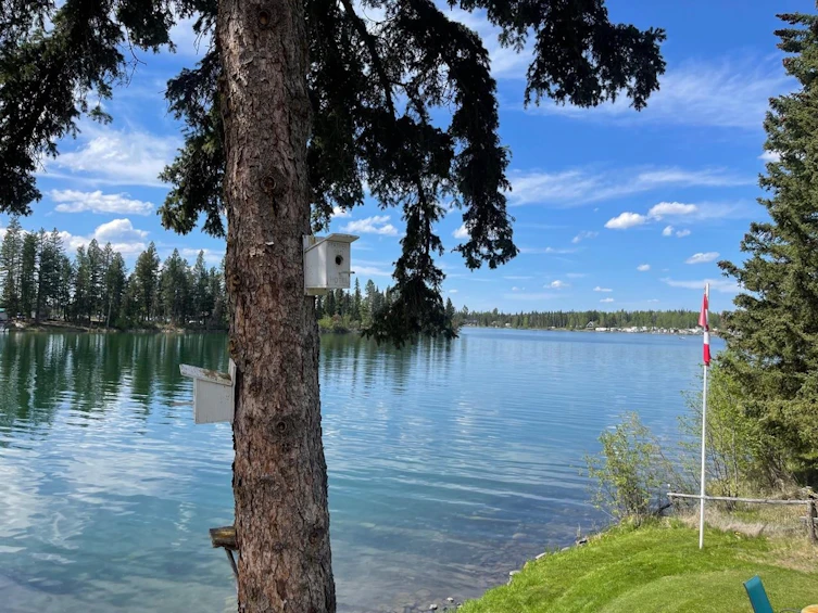 7552 Mickelsen Road, Sheridan Lake, BC, V0K 1E0 - 23