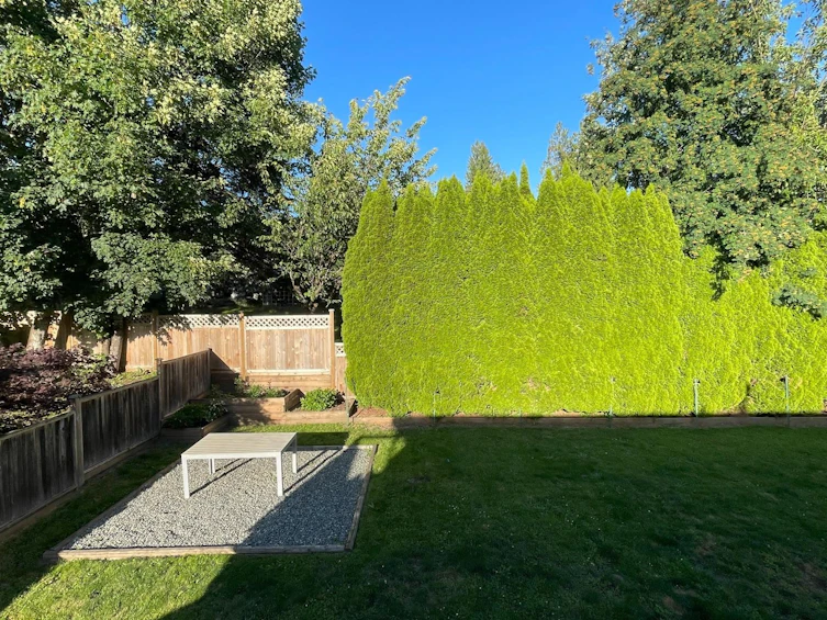 2170 Moss Court, Abbotsford, BC, V2S 4Y6 - 37