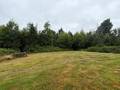 30117 Harris Road - 3
