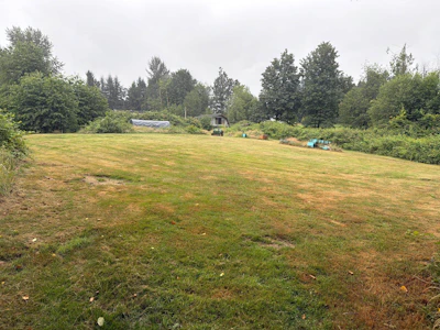 30117 Harris Road - 4