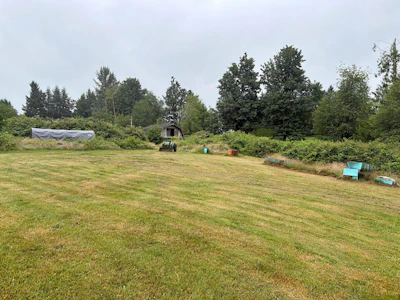 30117 Harris Road - 5