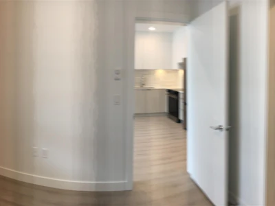 101-2463 Rabbit Drive - 5