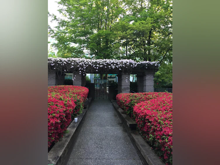 102-628 W 12th Avenue, Vancouver, BC, V5Z 1M8 - 25