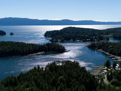 4990 Francis Peninsula Road - 3
