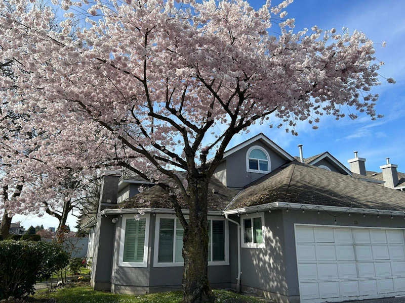 30 - 9731 Capella Drive, Richmond BC V6X 3R1