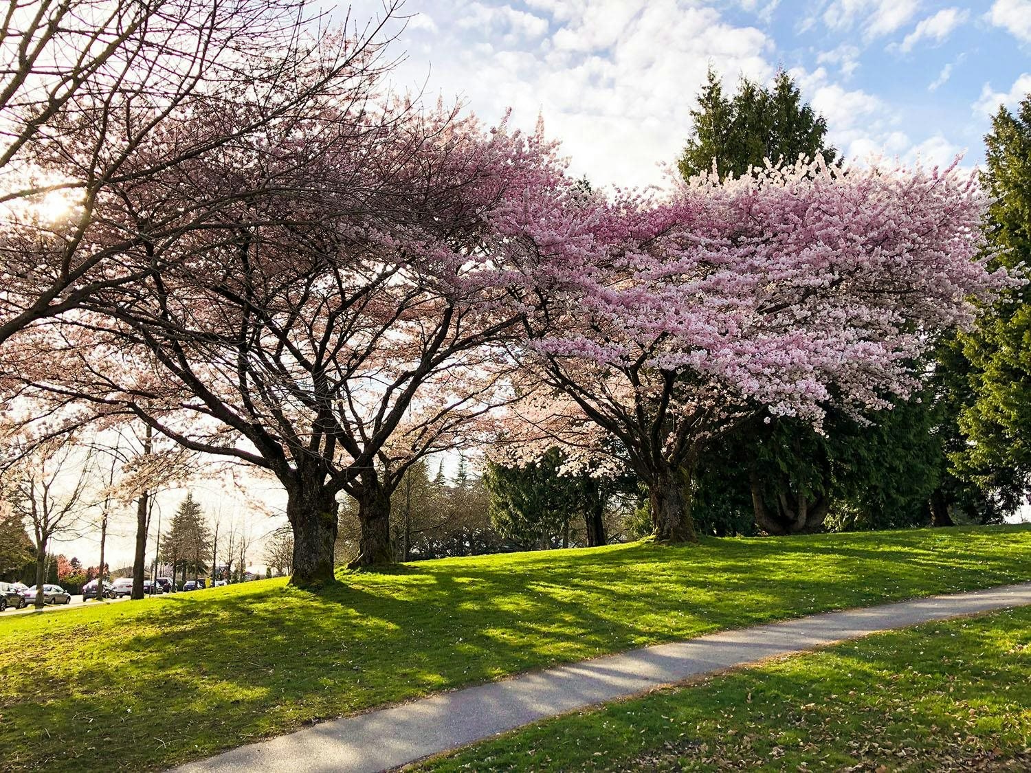 307-588 W 45th Avenue, Vancouver, BC, V5Z 4S3 - 22