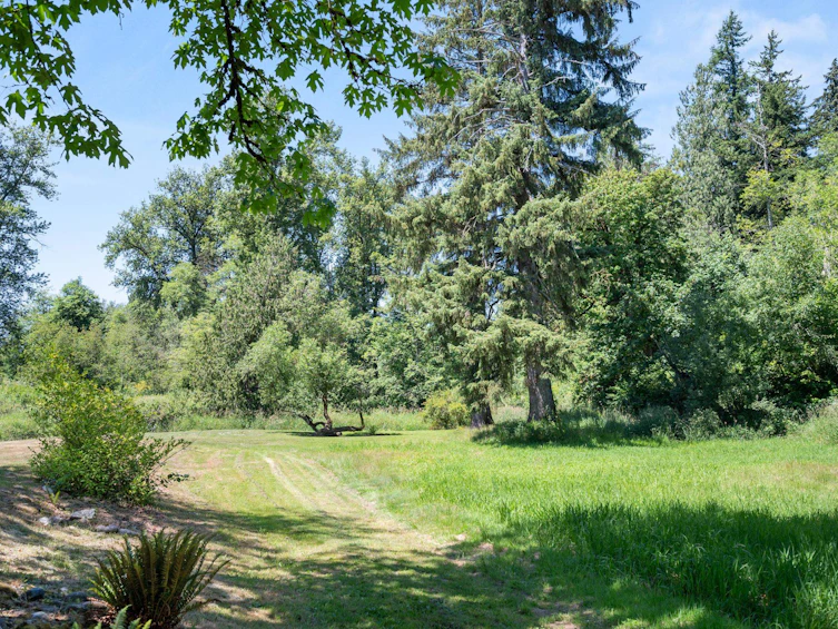 23014 70a Avenue, Langley, BC, V2Y 2J9 - 35