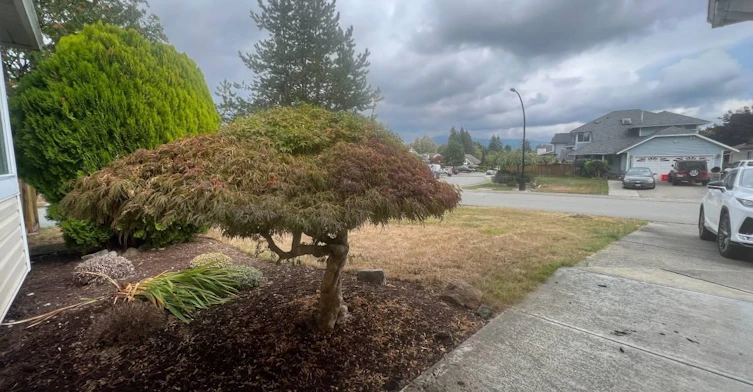 12169 Cherrywood Dr, Maple Ridge, BC, V2X 0B4 - 3