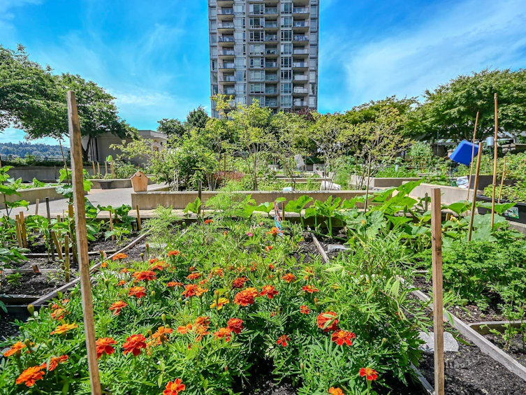 1206-2975 Atlantic Avenue, Coquitlam, BC, V3B 0C5 - 23