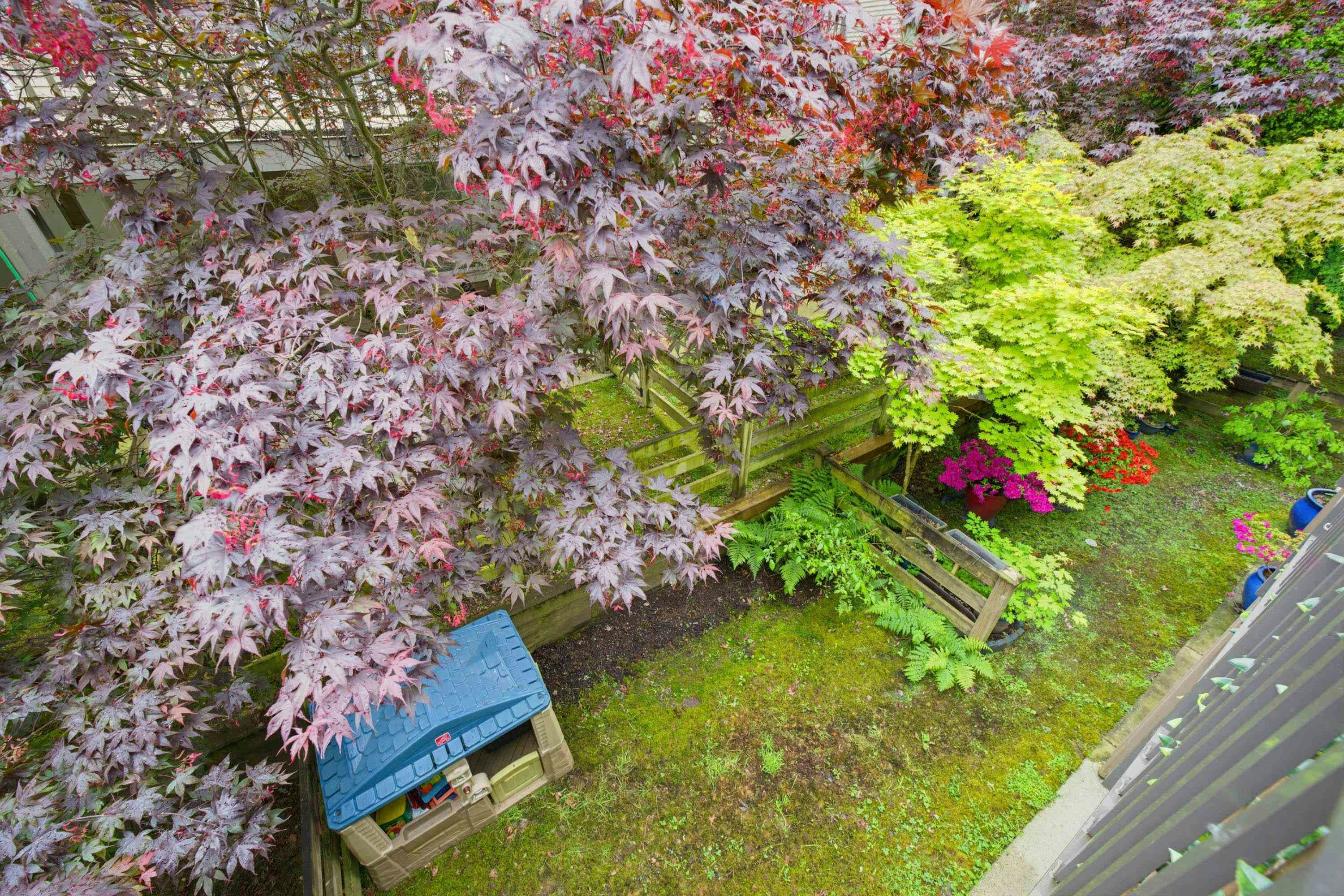 62-8250 209b Street, Langley, BC, V2Y 0J7 - 20