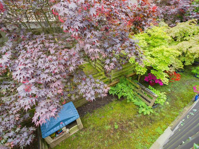 62-8250 209b Street, Langley, BC, V2Y 0J7 - 20
