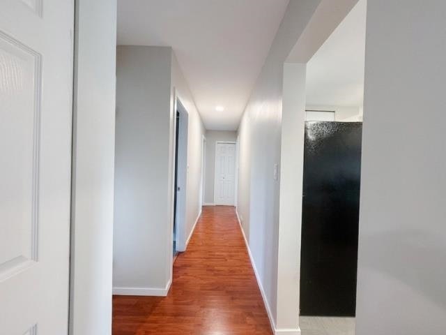 Basement-19486 117 Street, Pitt Meadows, BC, V3Y 1G5 - 6