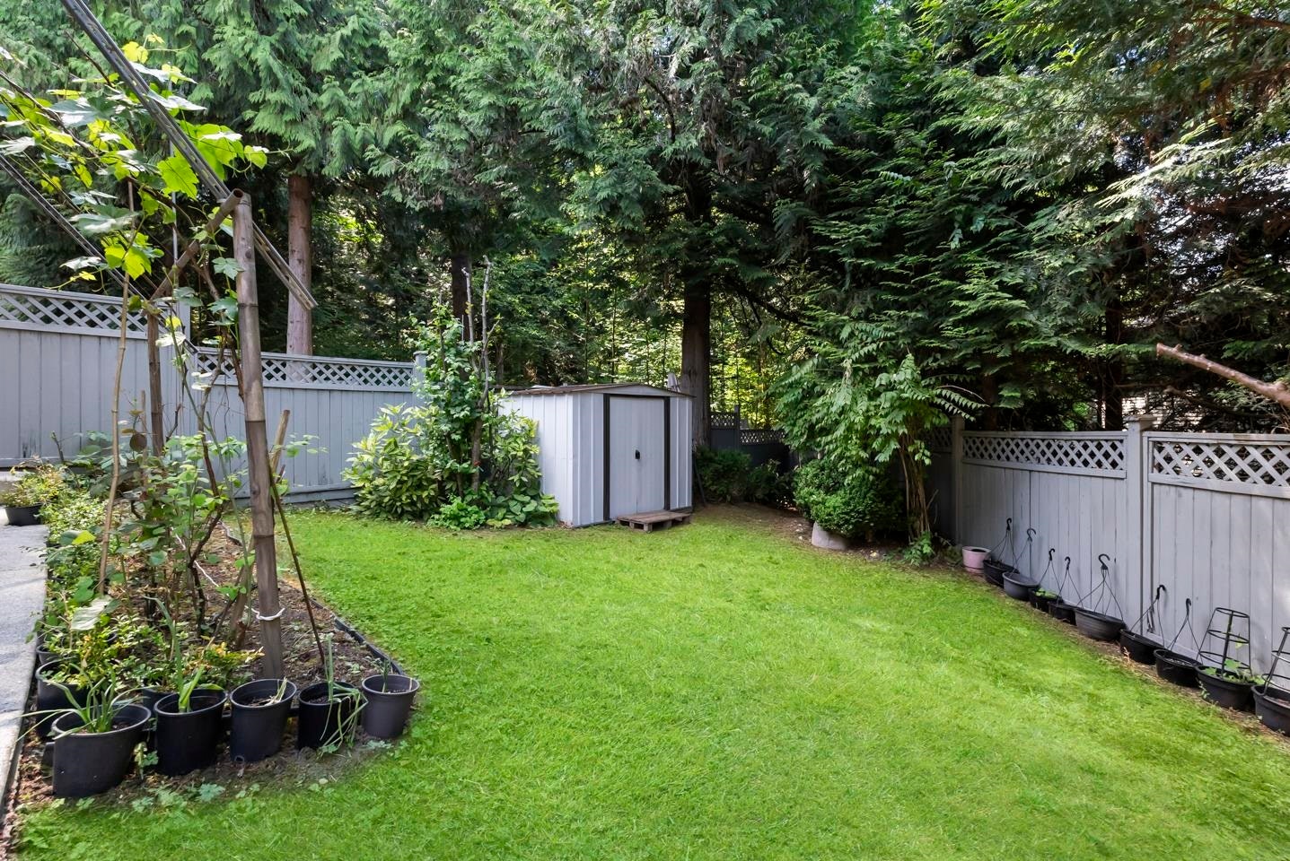 14683 61 Avenue, Surrey, BC, V3S 3W5 - 39