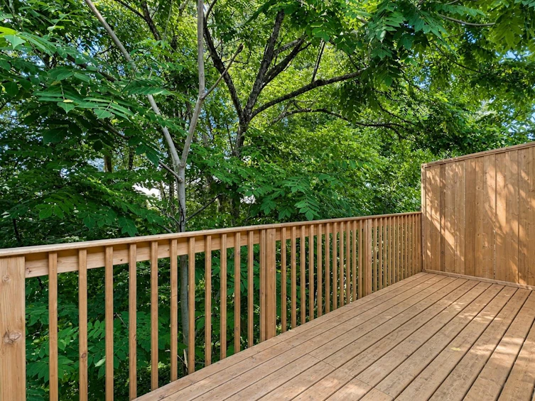 3-12075 207a Street, Maple Ridge, BC, V2X 9X7 - 28