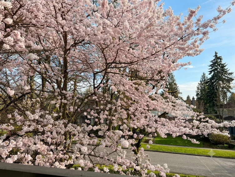 2599 W 36th Avenue, Vancouver, BC, V6N 2P6 - 3