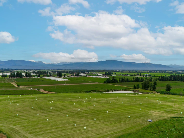 28310 Huntingdon Road, Abbotsford, BC, V4X 1A3 - 13
