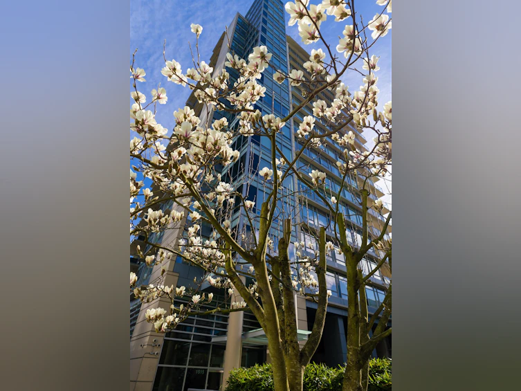 410 Beach Crescent, Vancouver, BC, V6Z 3E9 - 38