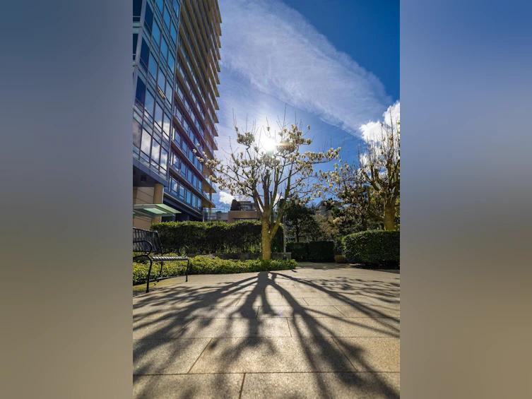 410 Beach Crescent, Vancouver, BC, V6Z 3E9 - 39