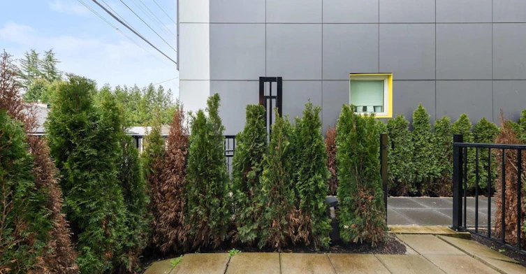 6308 Cambie Street, Vancouver, BC, V5Z 0K2 - 22