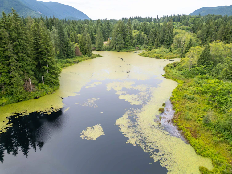 14275 Sylvester Road, Mission, BC, V2V 4J1 - 16