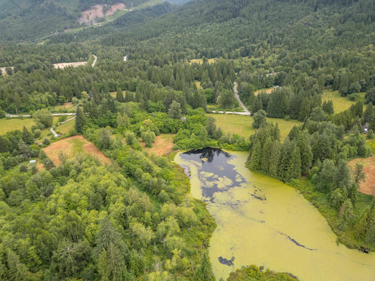 14275 Sylvester Road, Mission, BC, V2V 4J1 - 33