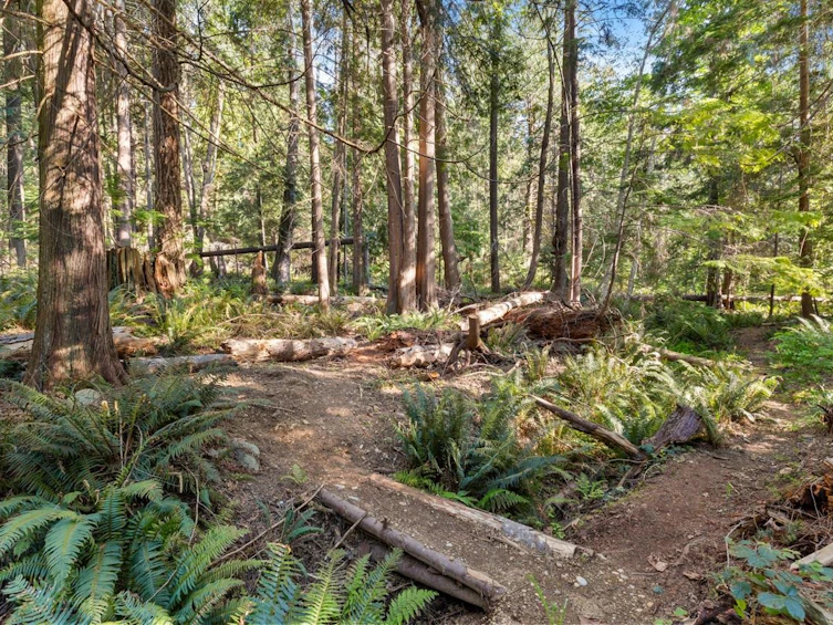 483 Braewood Place, Bowen Island, BC, V0N 1G2 - 34