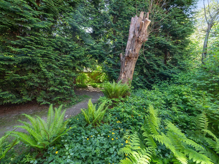4384 Garden Grove Drive, Burnaby, BC, V5G 4G6 - 36