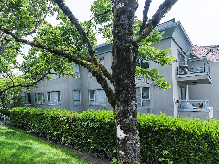 206-1085 W 17th Street, North Vancouver, BC, V7P 3R3 - 20