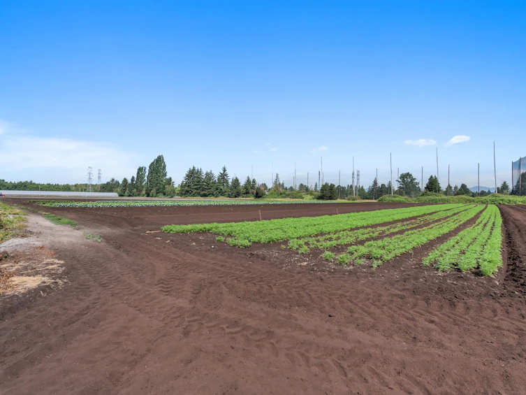 6210 104 Street, Delta, BC, V4K 3N3 - 36