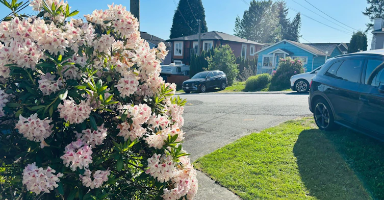 Front-217 Lebleu Street, Coquitlam, BC, V3K 4L7 - 2