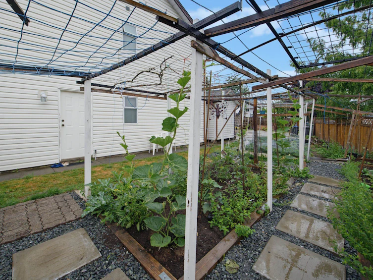 15299 93a Avenue, Surrey, BC, V3R 0E6 - 37