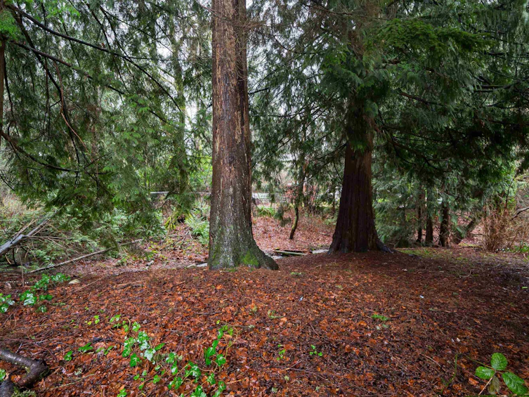 32472 Grebe Crescent, Mission, BC, V2V 5X6 - 37