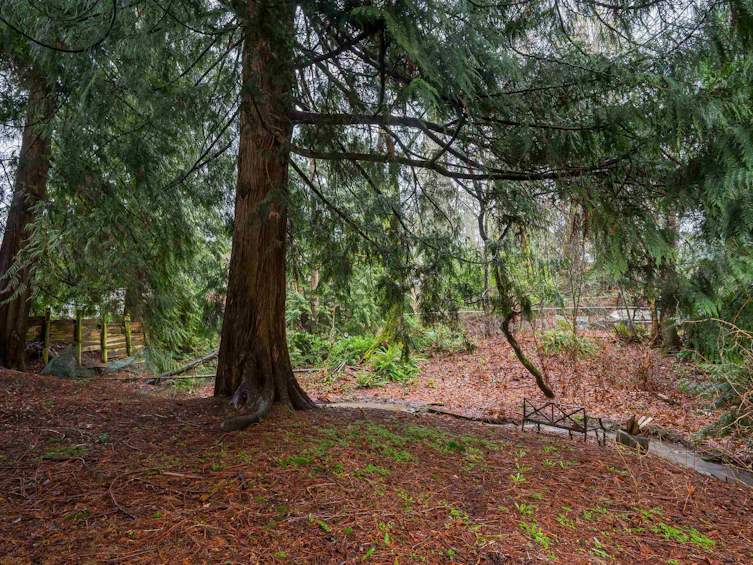 32472 Grebe Crescent, Mission, BC, V2V 5X6 - 38