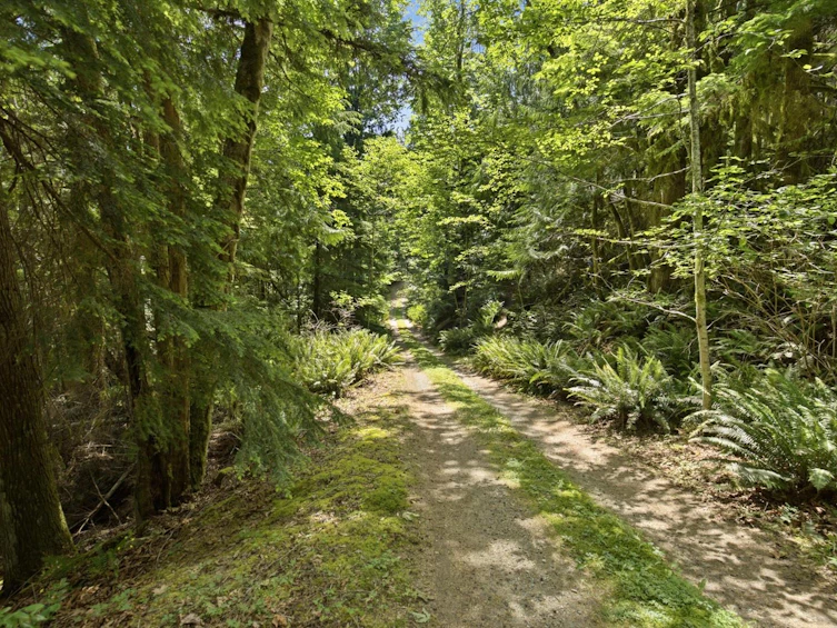 5280 Bear Bay Road, Pender Harbour Egmont, BC, V0N 1S1 - 25