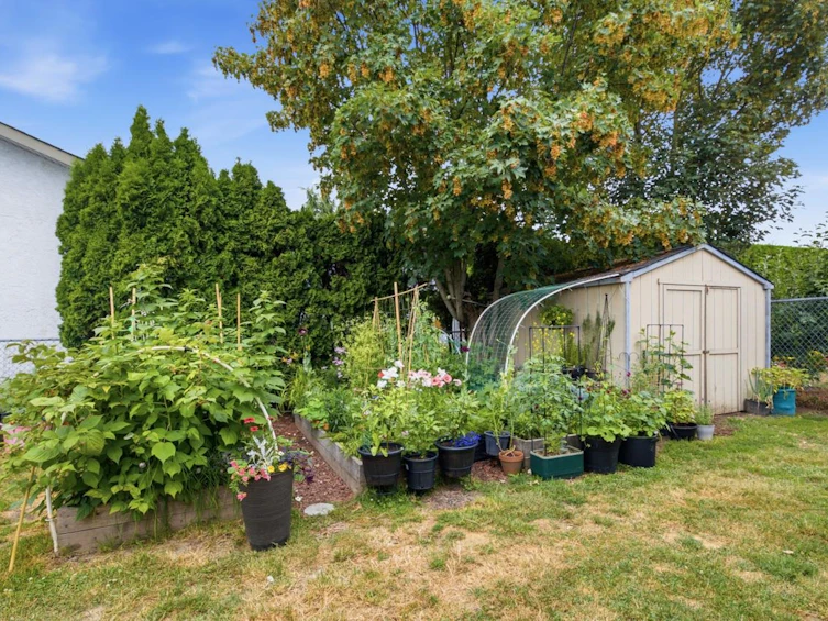 8762 Cornwall Crescent, Chilliwack, BC, V2P 7E6 - 34