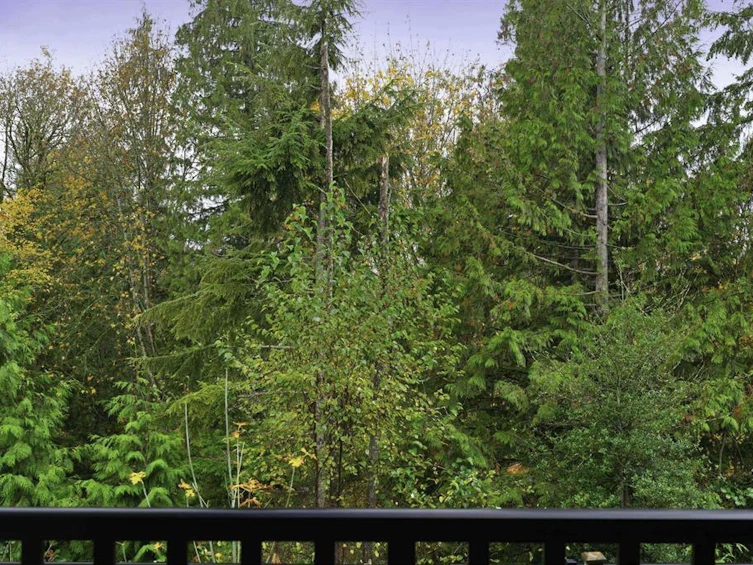 20-13263 236 Street, Maple Ridge, BC, V4R 0H3 - 10
