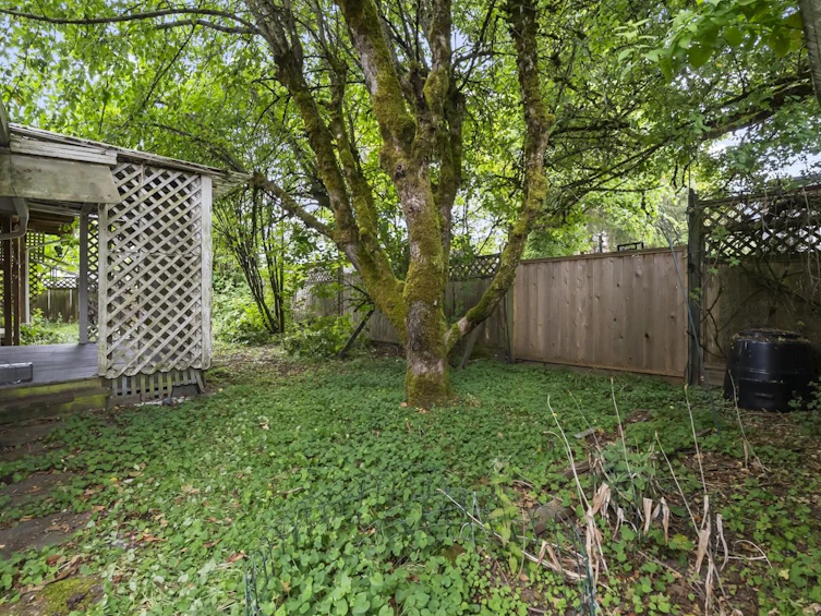 8819 157 Street, Surrey, BC, V4N 2Y8 - 34