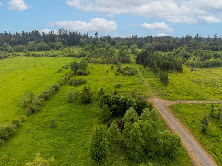 21326 48 Avenue, Langley, BC, V3A 3M5 - 4