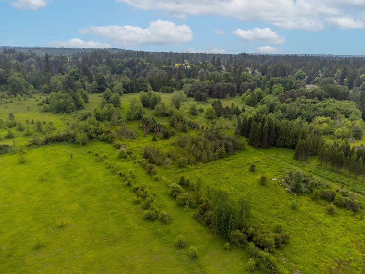 21326 48 Avenue, Langley, BC, V3A 3M5 - 22