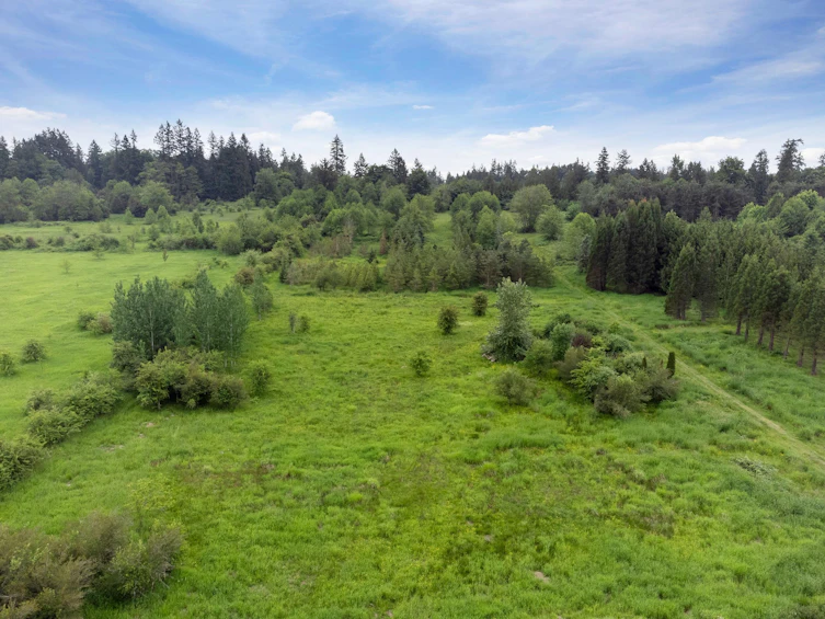 21326 48 Avenue, Langley, BC, V3A 3M5 - 5