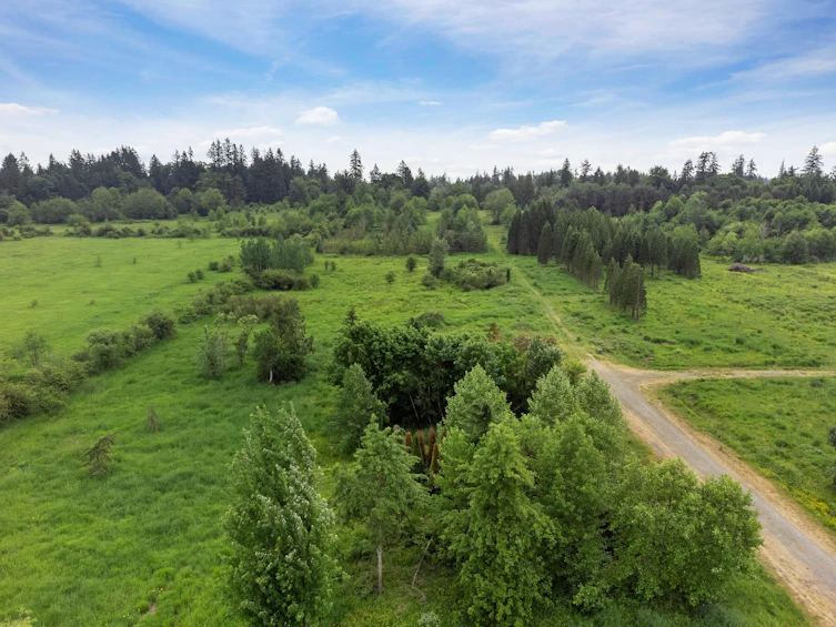 21326 48 Avenue, Langley, BC, V3A 3M5 - 23