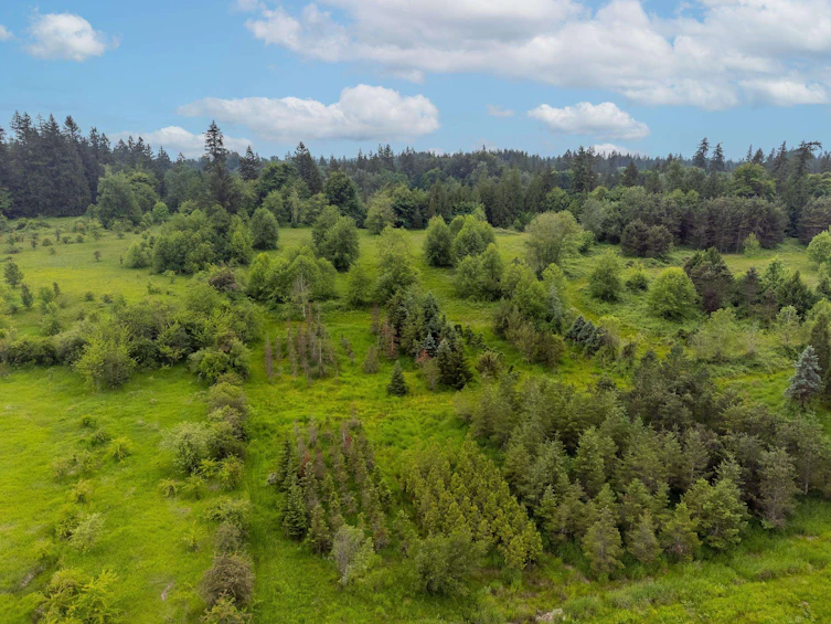 21326 48 Avenue, Langley, BC, V3A 3M5 - 27
