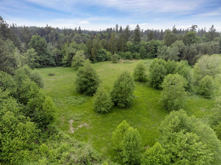 21326 48 Avenue, Langley, BC, V3A 3M5 - 6