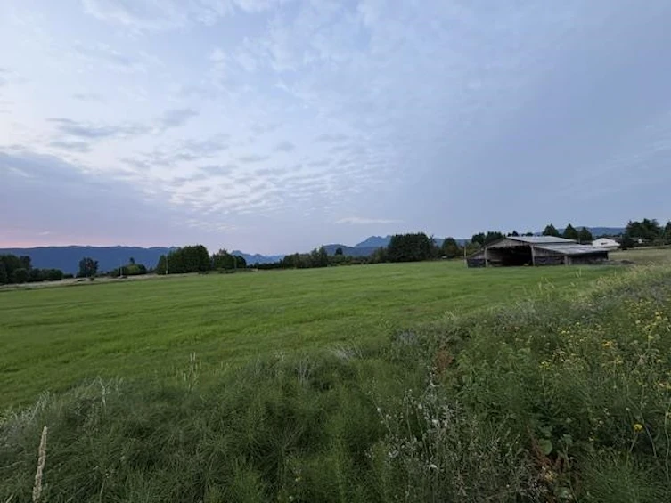 20111 Powell Avenue, Maple Ridge, BC, V2X 4N2 - 37