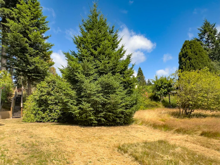 8097 Redrooffs Road, Halfmoon Bay, BC, V7Z 1C7 - 28