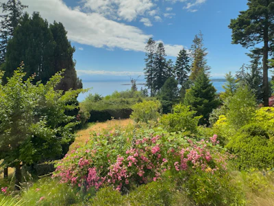 8097 Redrooffs Road - 4