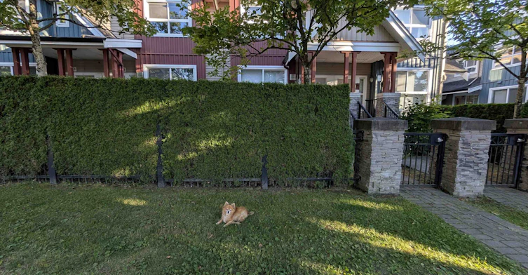 3XXX E 54 Avenue, Vancouver, BC, V5S 0A1 - 29