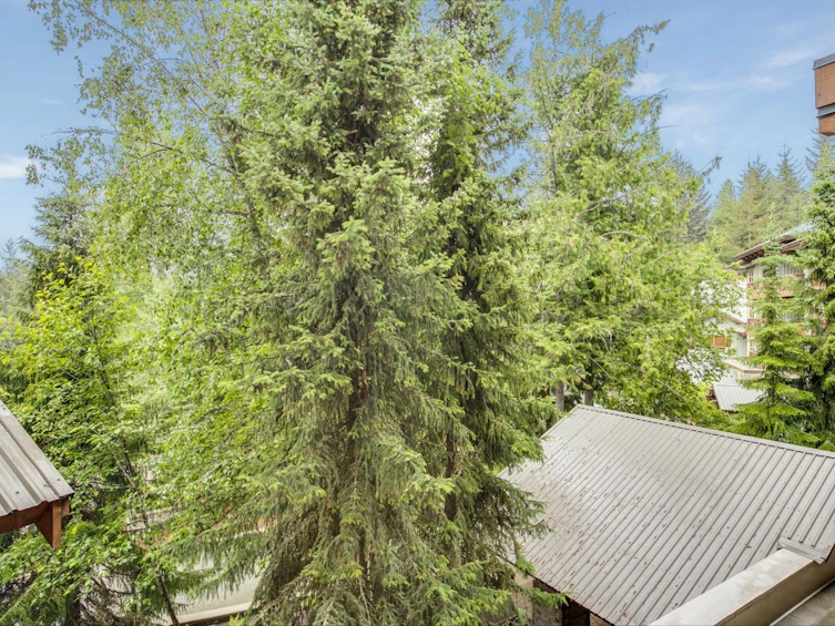 303G2-4653 Blackcomb Way, Whistler, BC, V8E 0Y9 - 6