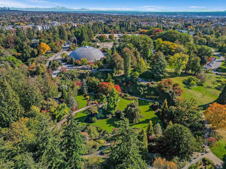 3500 Ash Street, Vancouver, BC, V5Z 3E7 - 19